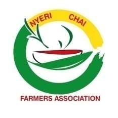 NCFA Logo